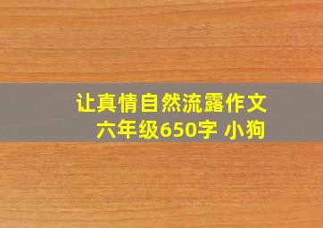 让真情自然流露作文六年级650字 小狗